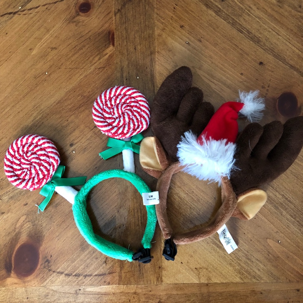 Dog headbands